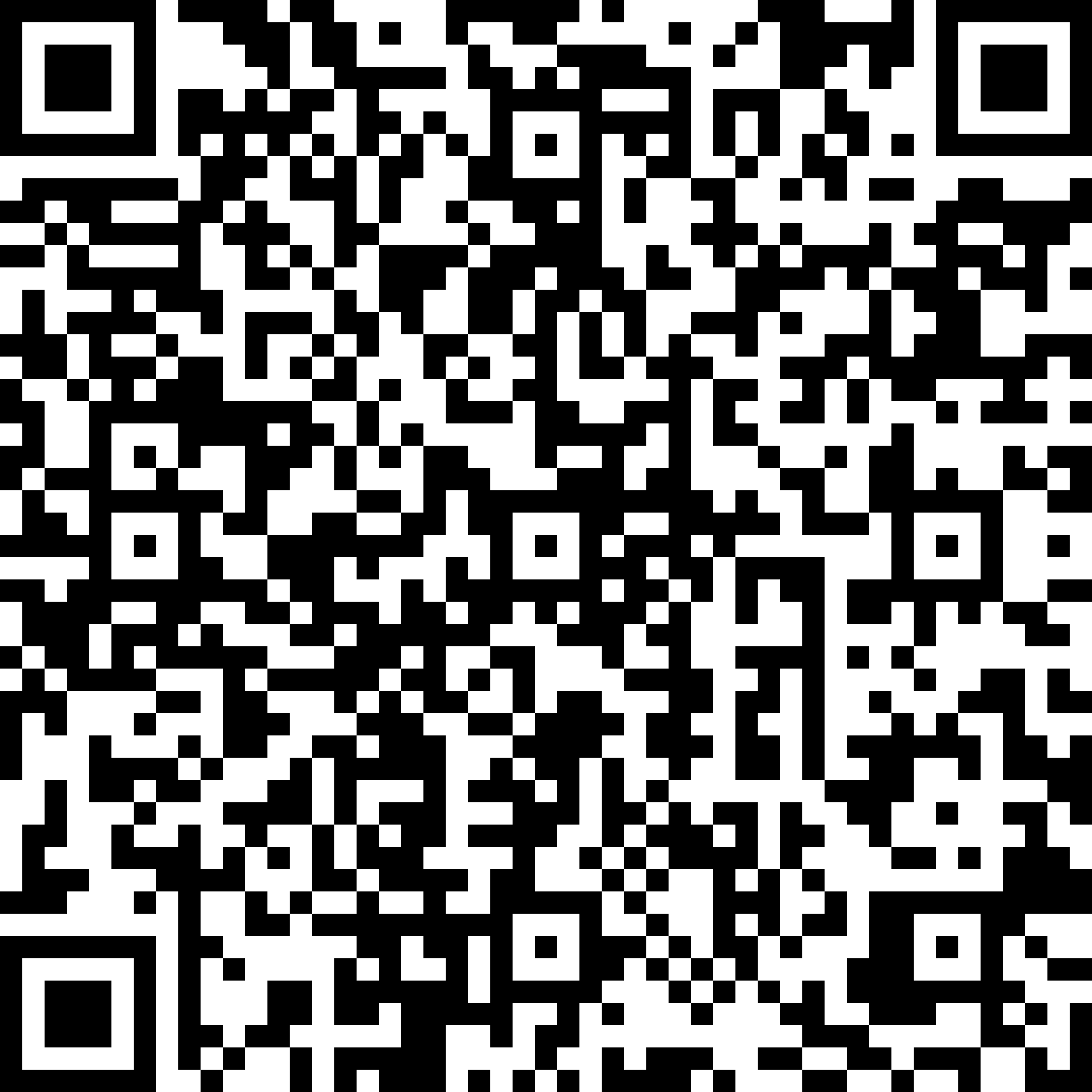 SEPA Donation QR Code